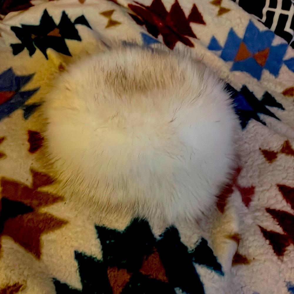 Furry hat